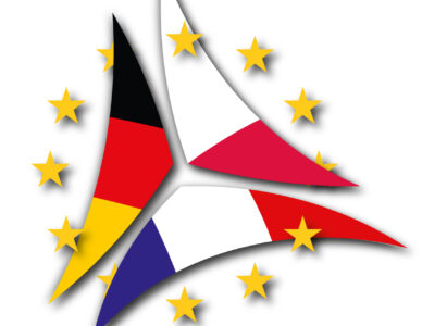 Nowy program stypendialny DAAD „Sieć przyszłości Trójkąt Weimarski: nauka dla Europy”